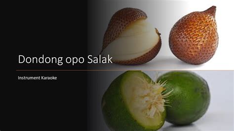 dondong opo salak berasal dari  Prau Layar